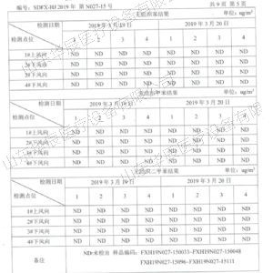 檢測報告表